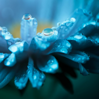 Lymphatic Drainage